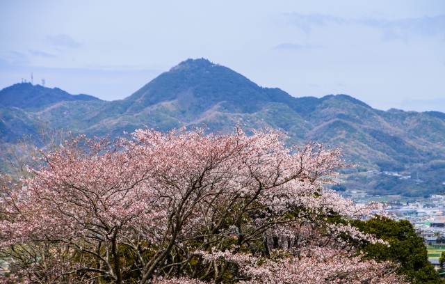 淡路島